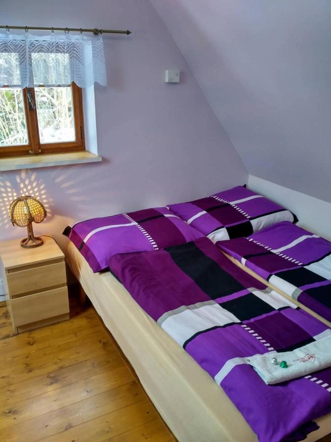 Apartma Doubek Rokytnice nad Jizerou Buitenkant foto